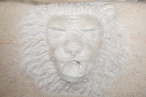 Détail gargouille tête de Lion