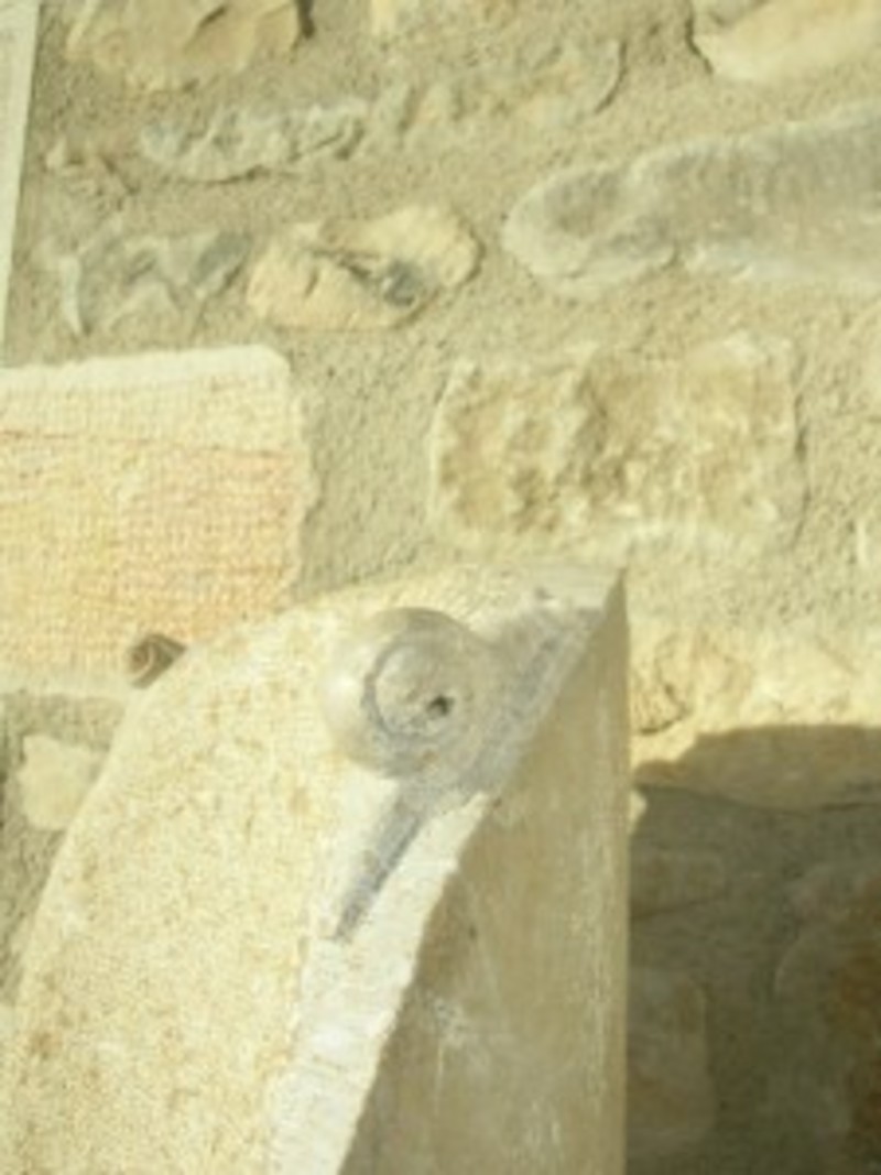 Détail d'un escargot sculpté